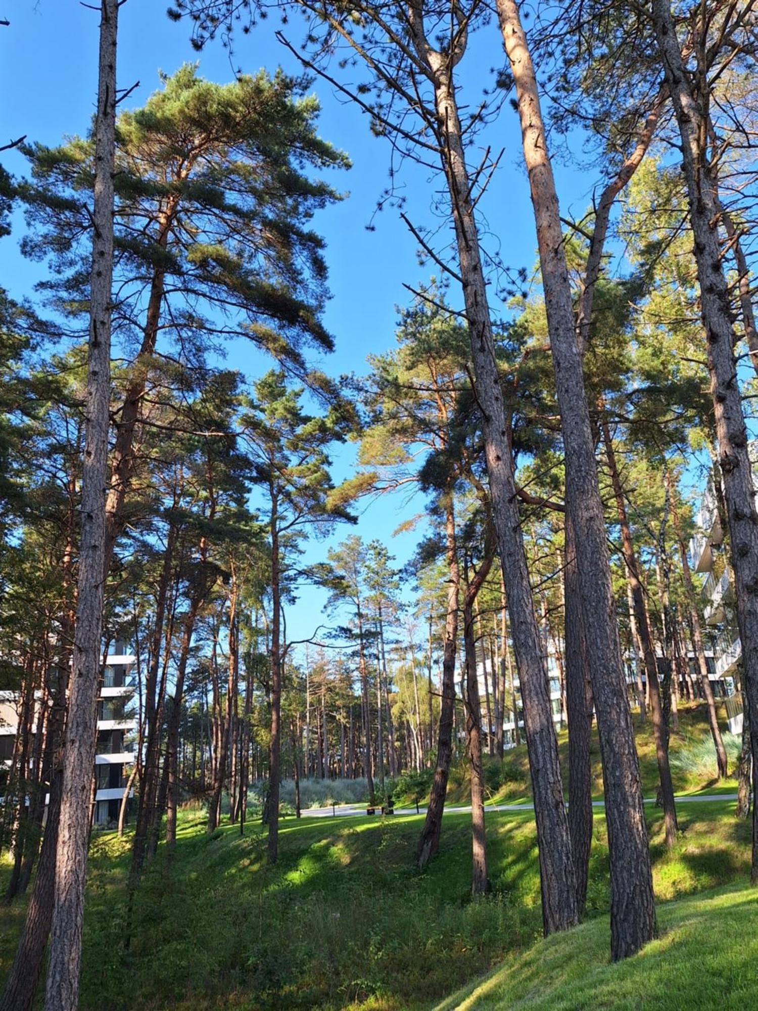 Shellter Sun&sea Rogowo Kolo Kolobrzegu_dzwirzyno_nocleg Apartment